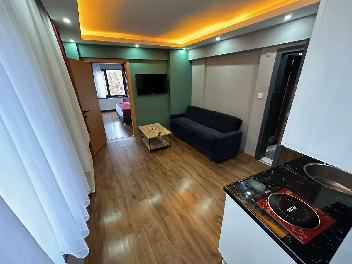 Taksim Liberty House Apartment Istanbul Turkey